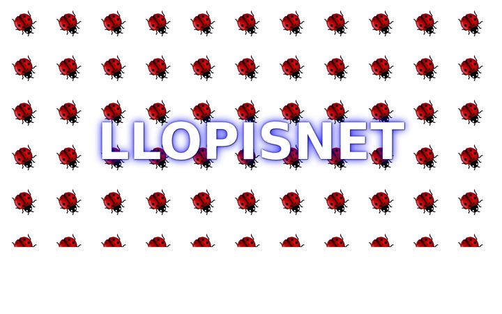 Screenshot of llopisnet.com