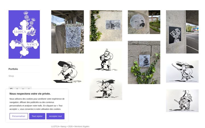 Screenshot of llotca.fr