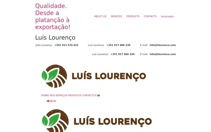 Screenshot of llourenco.com