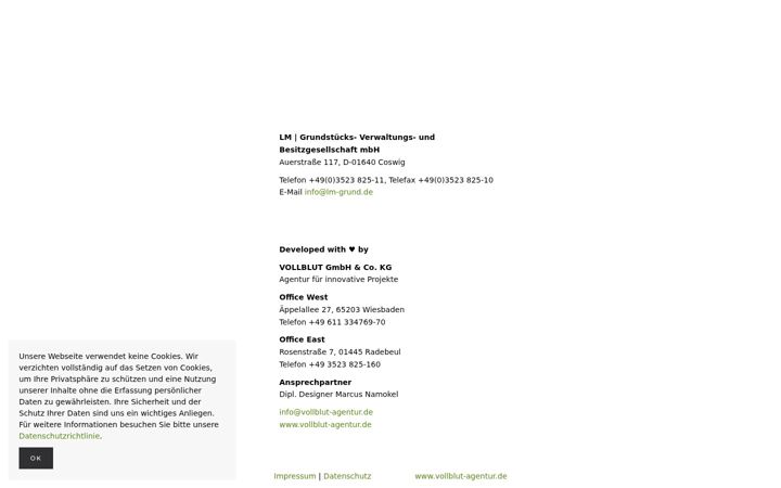 Screenshot of lm-grund.de