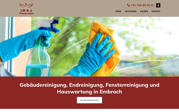 Screenshot of lmjreinigungen.ch