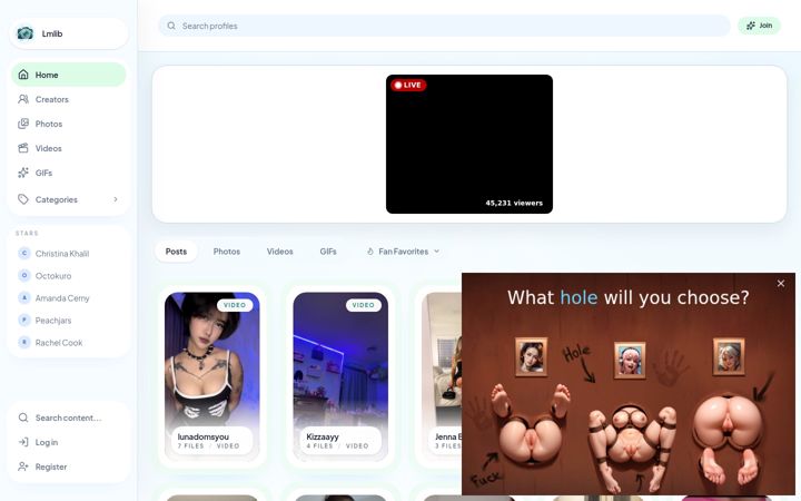 Screenshot of lmlib.com