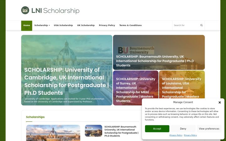 Screenshot of lnischolarship.com