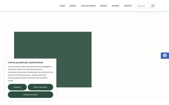 Screenshot of lobanowscy.pl