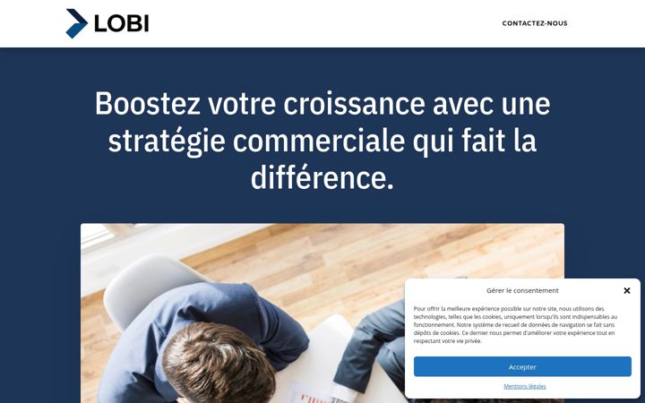Screenshot of lobi-consulting.fr