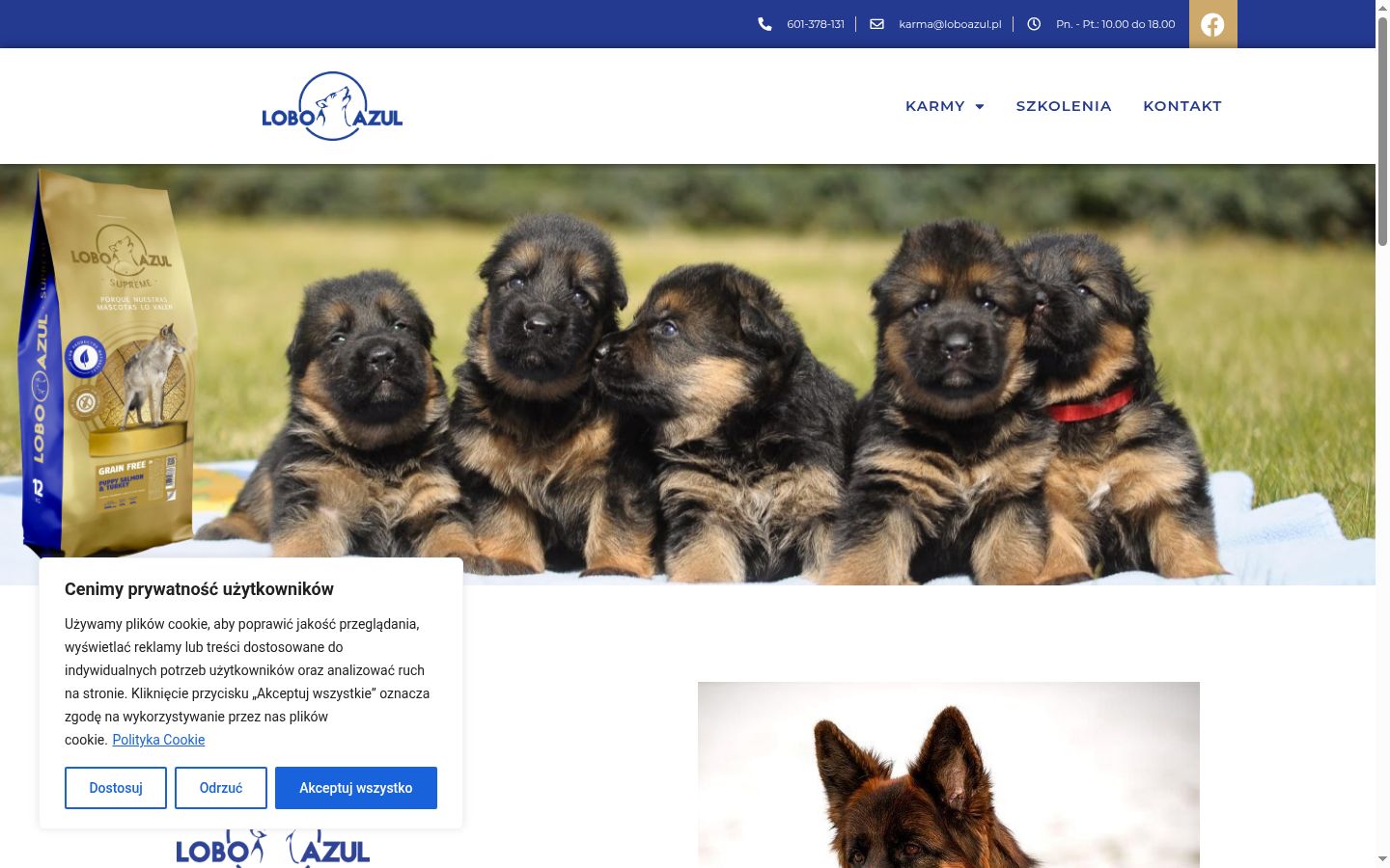 Snimka zaslona bannera za privolu prikazanog prije bilo kakve interakcije