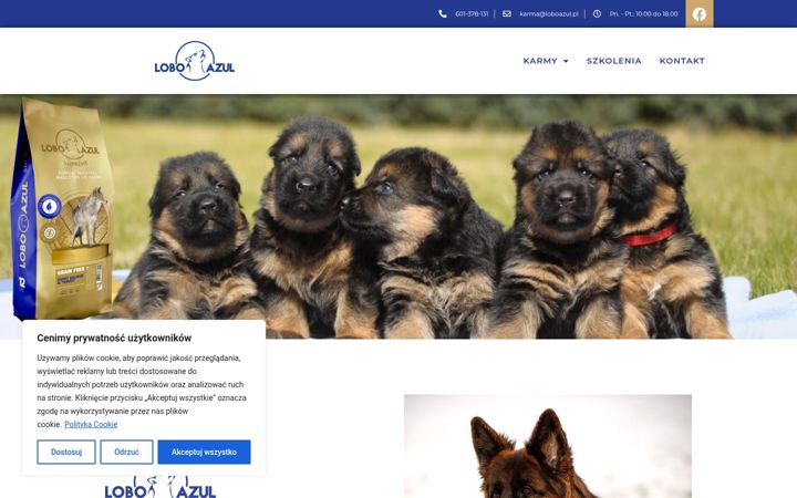 Screenshot of loboazul.pl