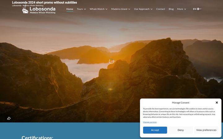 Screenshot of lobosonda.com