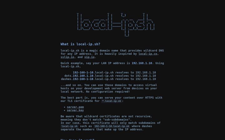 Screenshot of local-ip.sh