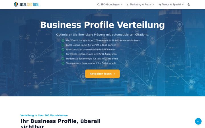 Screenshot of local-seo-tool.com