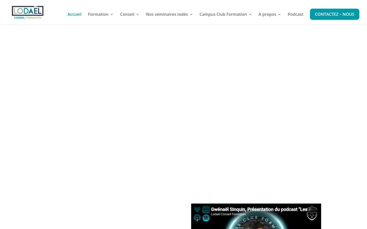 Screenshot of lodael-conseil-formation.fr
