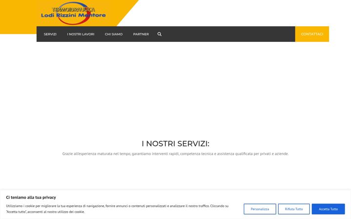 Screenshot of lodirizziniimpianti.it