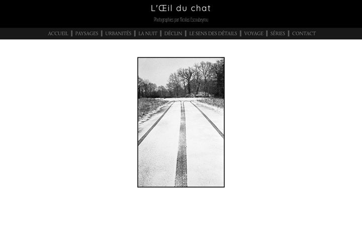 Screenshot of loeildechat.fr