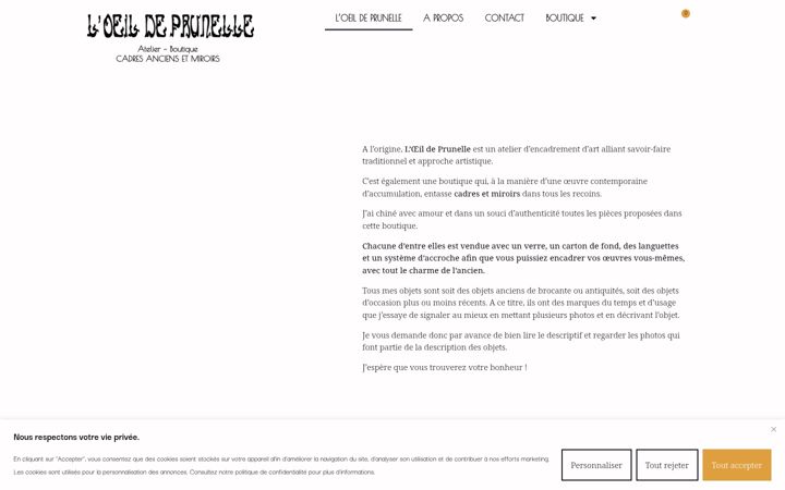 Screenshot of loeildeprunelle.com