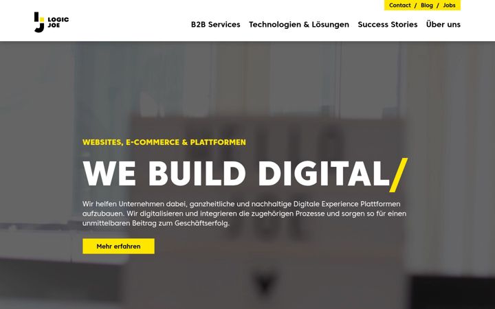 Screenshot of logic-joe.com