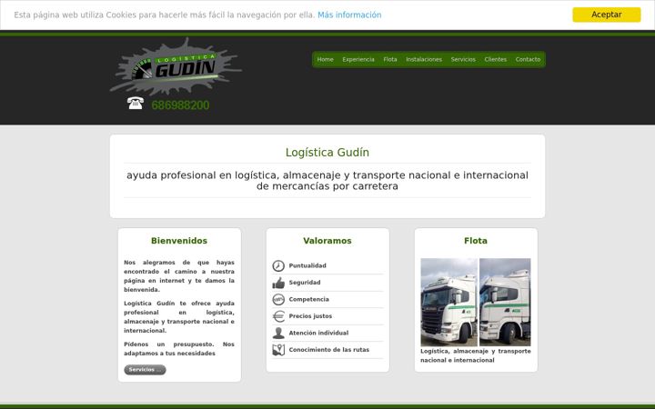 Screenshot of logisticagudin.com
