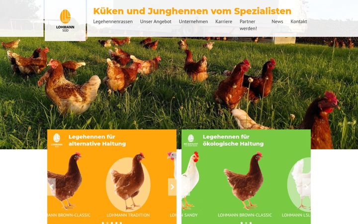 Screenshot of lohmann-sued.de