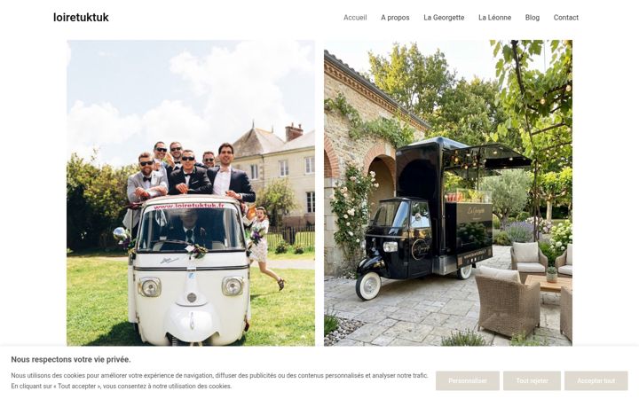 Screenshot of loiretuktuk.fr