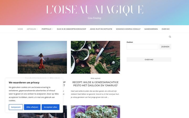 Screenshot of loiseaumagique.nl