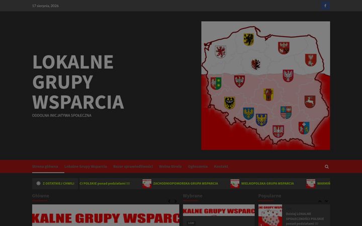 Screenshot of lokalnegrupywsparcia.pl