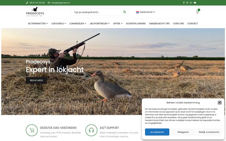 Screenshot of lokganzen.nl