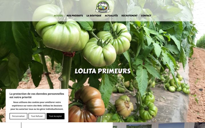 Screenshot of lolitaprimeurs.fr