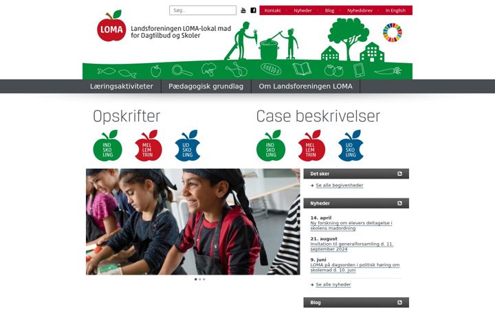 Screenshot of lomaskole.dk