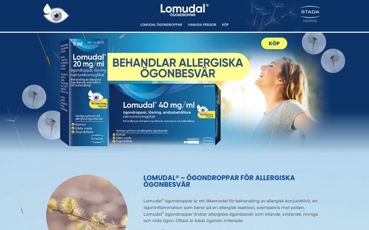 Screenshot of lomudal.se