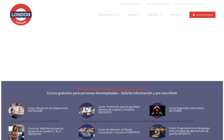 Screenshot of londoninstitute.com