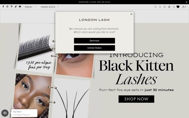 Screenshot of londonlash.ca