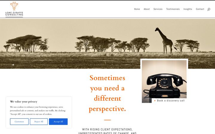 Screenshot of lonegiraffeconsulting.co.uk