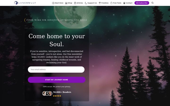 Screenshot of lonerwolf.com
