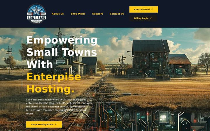 Screenshot of lonestardataranch.com