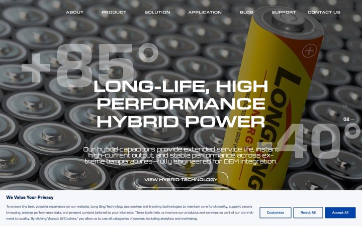 Screenshot of longsingtechnology.com