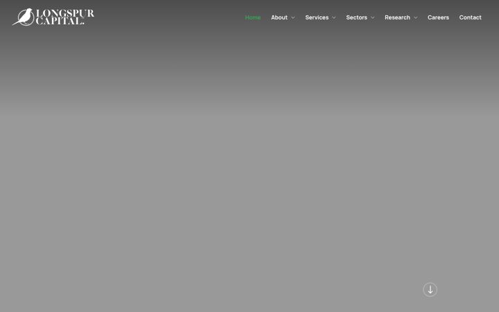 Screenshot of longspur.com