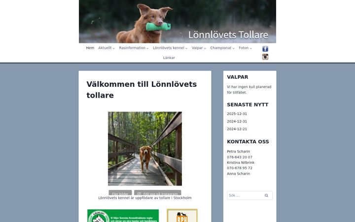 Screenshot of lonnlovets.se