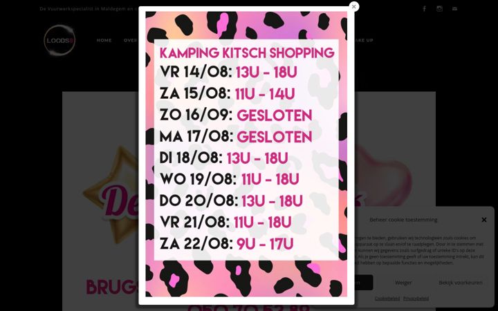 Screenshot of loods8.com