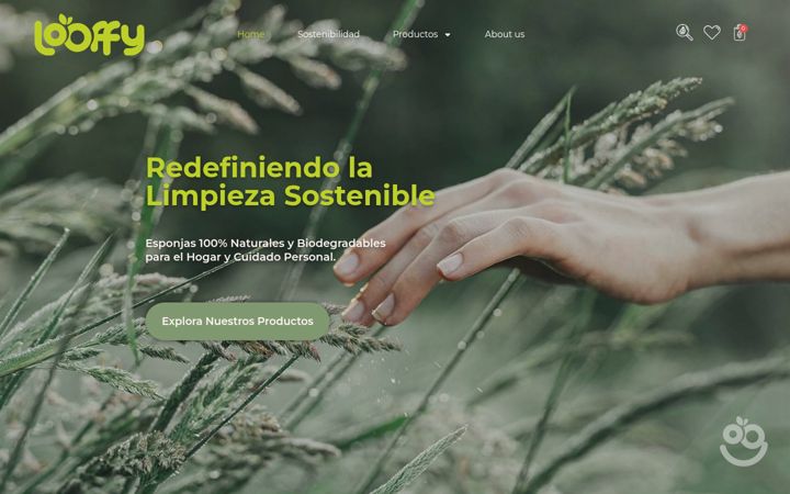 Screenshot of looffy-eco.com
