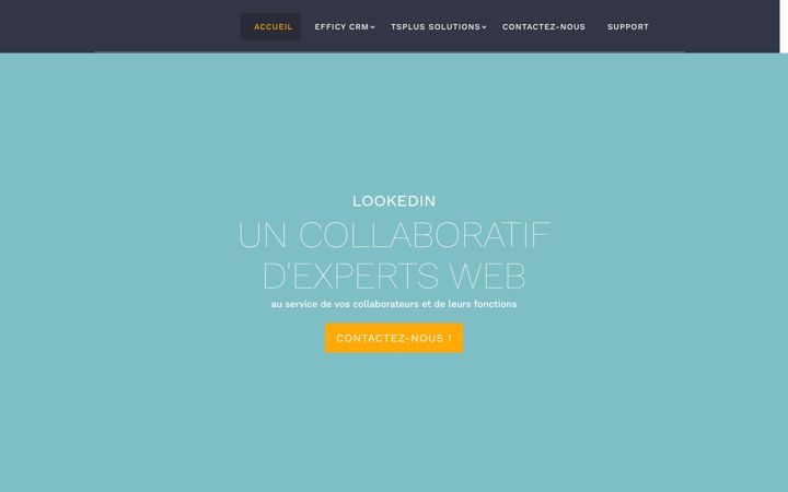 Screenshot of lookedin.fr