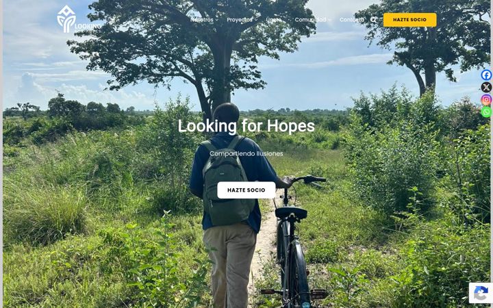 Screenshot of lookingforhopes.org