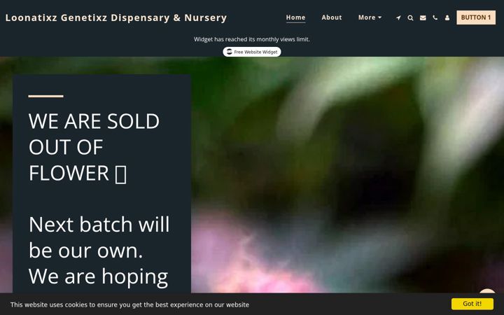 Screenshot of loonatixz.com
