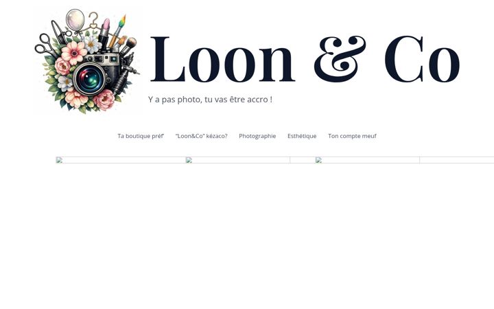 Screenshot of loonetco.com