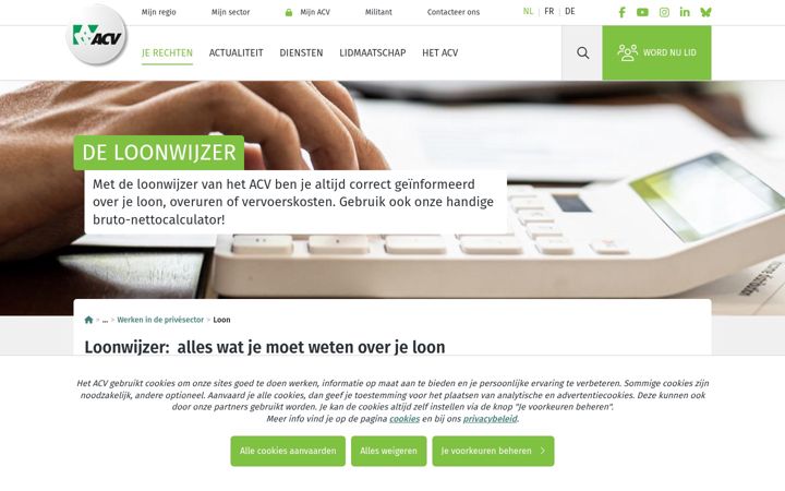Screenshot of loonwijzer.be
