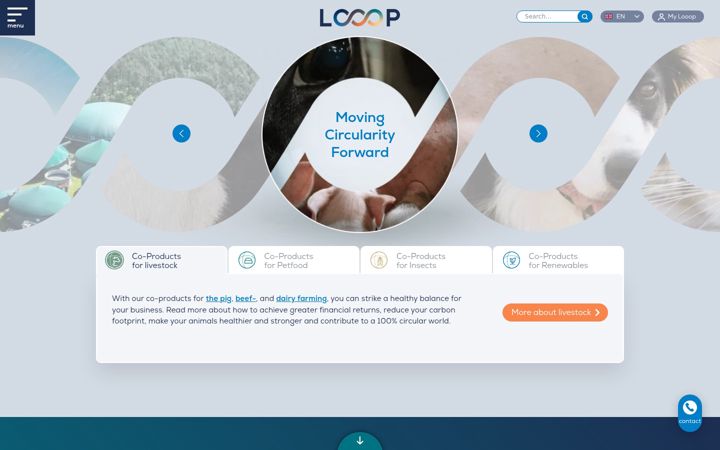 Screenshot of looop.company