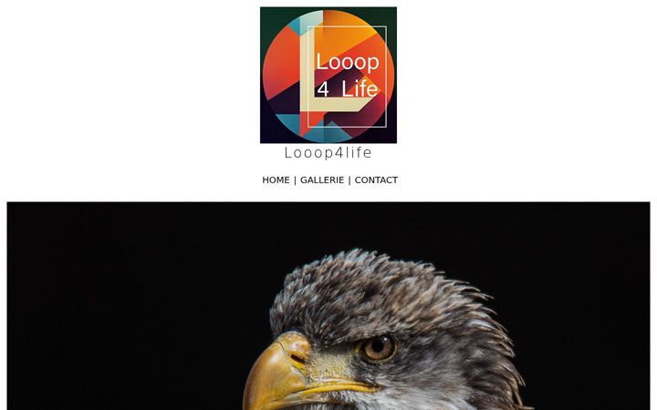 Screenshot of looop4life.com