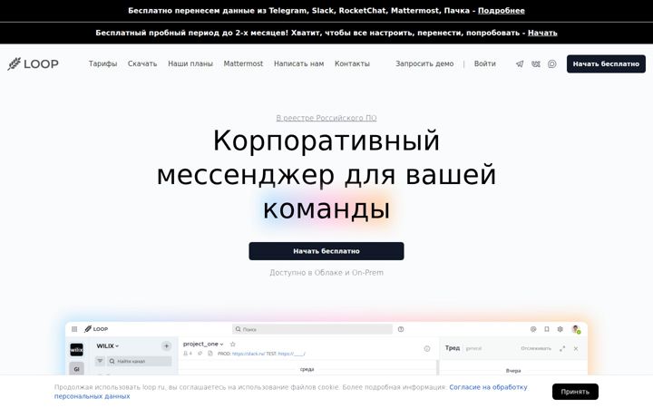 Ekraanipilt saidist loop.ru