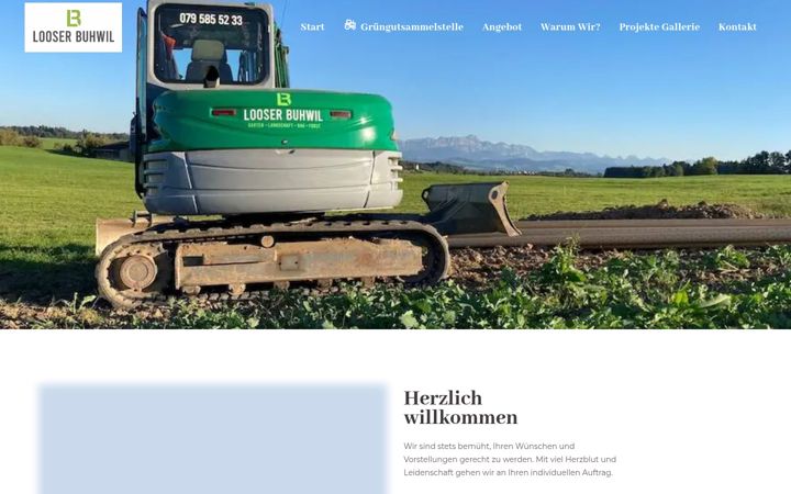 Screenshot of looserbuhwil.ch