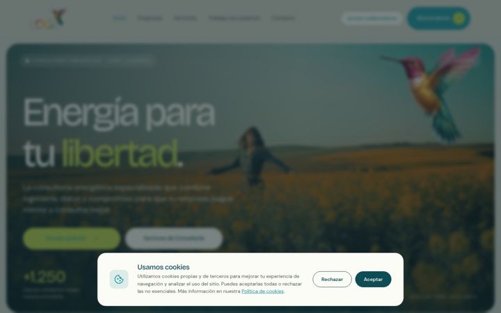Екранна снимка на loozenergia.com
