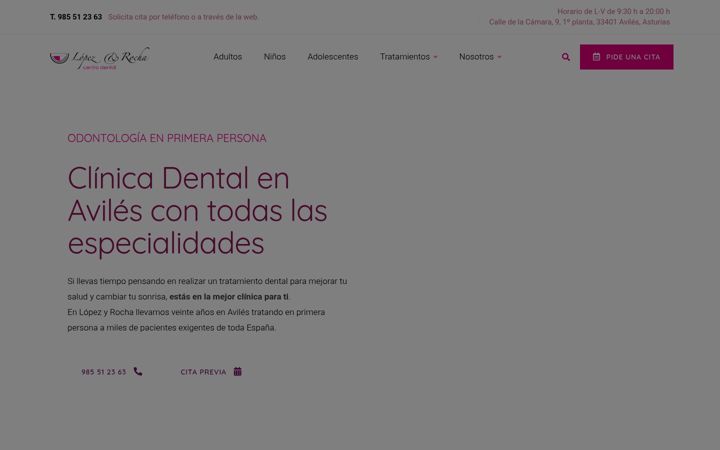 Screenshot of lopezyrocha.com