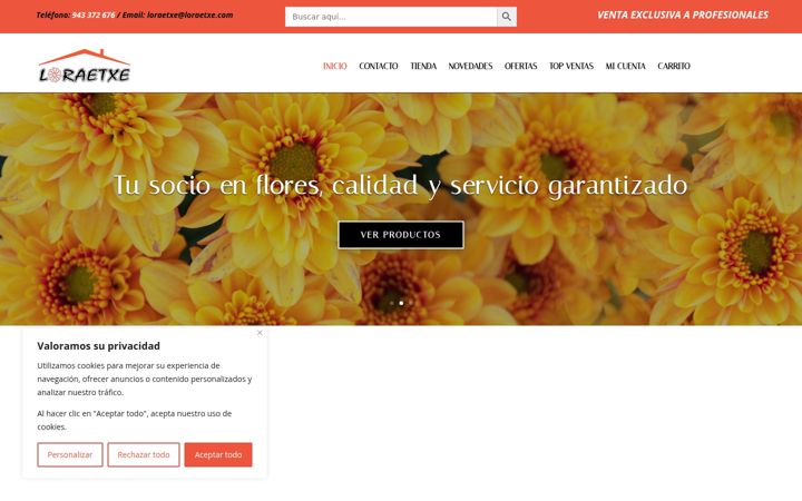 Screenshot of loraetxe.com
